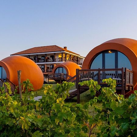 תלאווי Hotel Qvevrebi מראה חיצוני תמונה