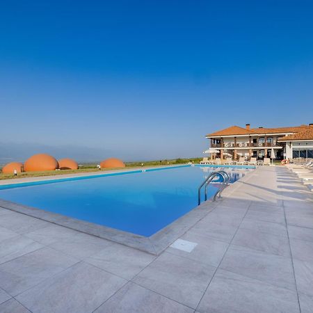 תלאווי Hotel Qvevrebi מראה חיצוני תמונה